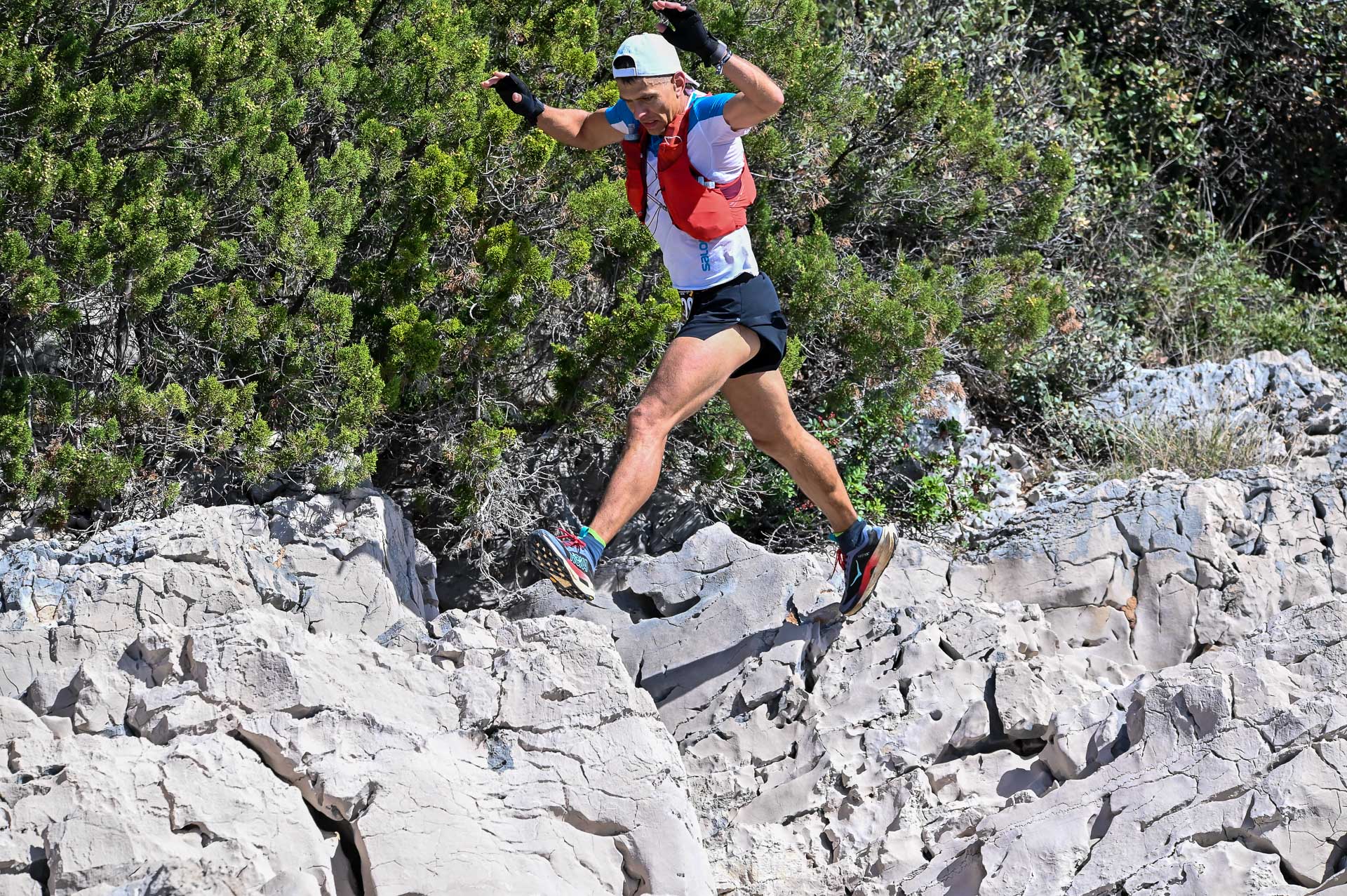 Vuk treći na Yauk trailu